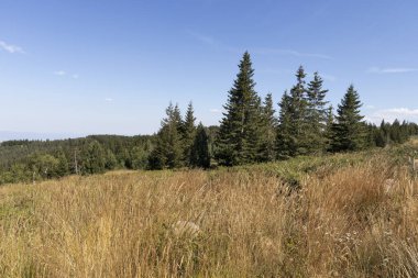 Bulgaristan 'ın Vitosha Dağı' nın sonbahar manzarası