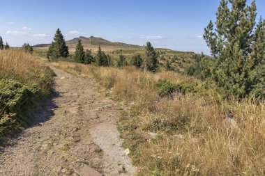 Bulgaristan 'ın Vitosha Dağı' nın sonbahar manzarası
