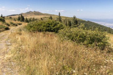Bulgaristan 'ın Vitosha Dağı' nın sonbahar manzarası