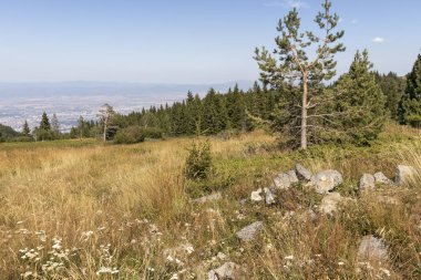 Bulgaristan 'ın Vitosha Dağı' nın sonbahar manzarası