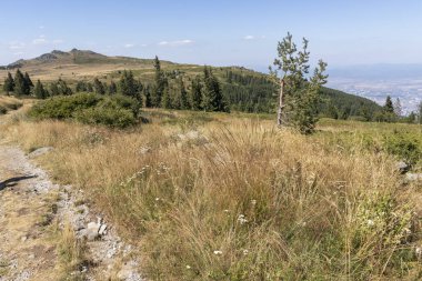 Bulgaristan 'ın Vitosha Dağı' nın sonbahar manzarası