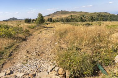 Bulgaristan 'ın Vitosha Dağı' nın sonbahar manzarası