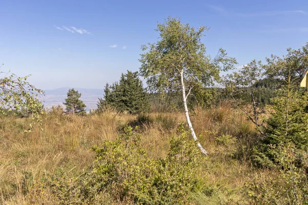 Paisaje otoñal de Vitosha Mountain, Bulgaria — Foto de Stock