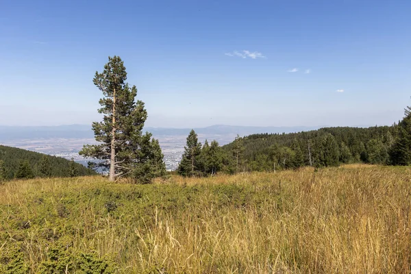 Bulgaristan 'ın Vitosha Dağı' nın sonbahar manzarası — Stok fotoğraf