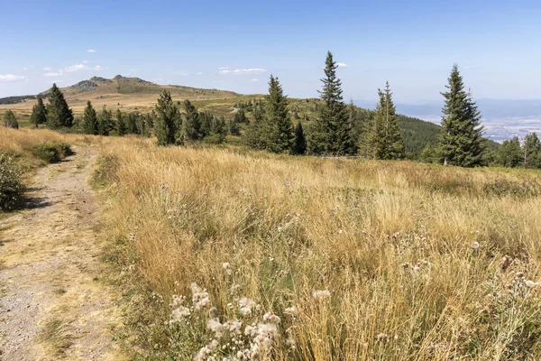 Herfst landschap van Vitosha Mountain, Bulgarije — Stockfoto