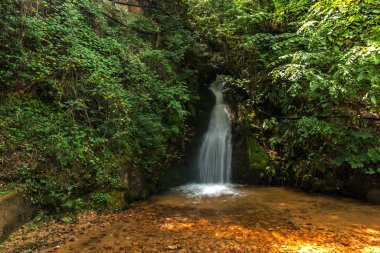 Kuzey Makedonya 'daki Belasica Dağı' nda Gabrovo şelalesi