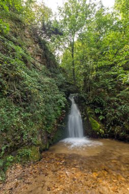 Kuzey Makedonya 'daki Belasica Dağı' nda Gabrovo şelalesi