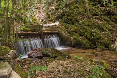 Kuzey Makedonya 'daki Belasica Dağı' nda Gabrovo şelalesi