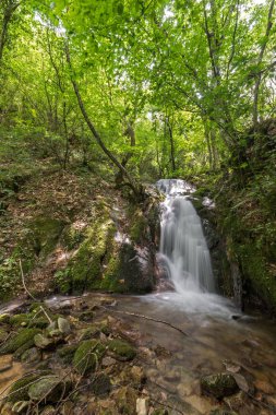 Kuzey Makedonya 'daki Belasica Dağı' nda Gabrovo şelalesi