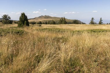 Bulgaristan 'ın Vitosha Dağı' nın şaşırtıcı sonbahar manzarası