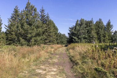 Bulgaristan 'ın Vitosha Dağı' nın şaşırtıcı sonbahar manzarası