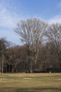 Sofya, Bulgaristan - 21 Ocak 2020: Bulgaristan 'ın Sofya kentindeki South Park' ın kış manzarası