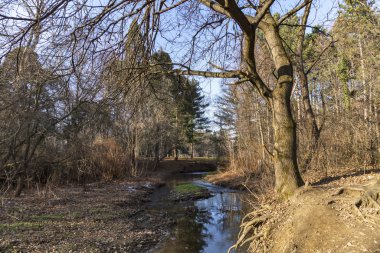 Sofya, Bulgaristan - 21 Ocak 2020: Bulgaristan 'ın Sofya kentindeki South Park' ın kış manzarası