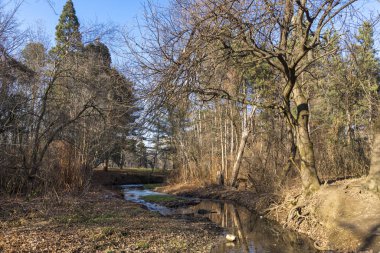 Sofya, Bulgaristan - 21 Ocak 2020: Bulgaristan 'ın Sofya kentindeki South Park' ın kış manzarası