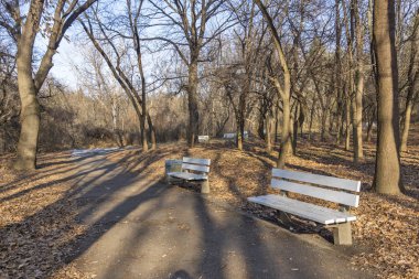 Sofya, Bulgaristan - 21 Ocak 2020: Bulgaristan 'ın Sofya kentindeki South Park' ın kış manzarası