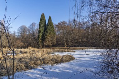 Sofya, Bulgaristan - 21 Ocak 2020: Bulgaristan 'ın Sofya kentindeki South Park' ın kış manzarası