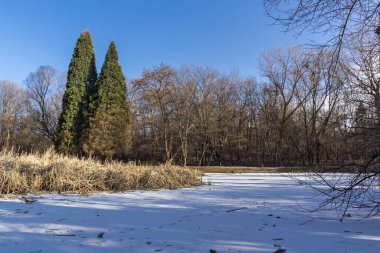 Sofya, Bulgaristan - 21 Ocak 2020: Bulgaristan 'ın Sofya kentindeki South Park' ın kış manzarası