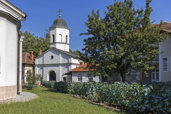 Μονή Ρακόβιτσα κοντά στο Βελιγράδι, Σερβία — Φωτογραφία Αρχείου