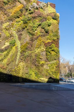 Vertical garden wall in City of Madrid, Spain