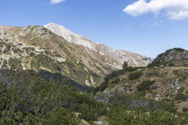 Balık Banderitsa Gölü, Pirin Dağı, Bulgaristan