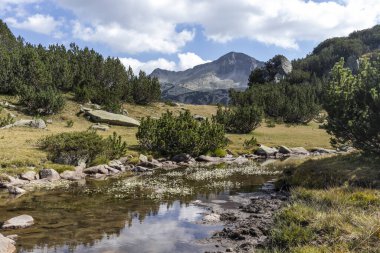 River ve Banderishki Chukar Tepesi, Pirin Dağı, Bulgaristan