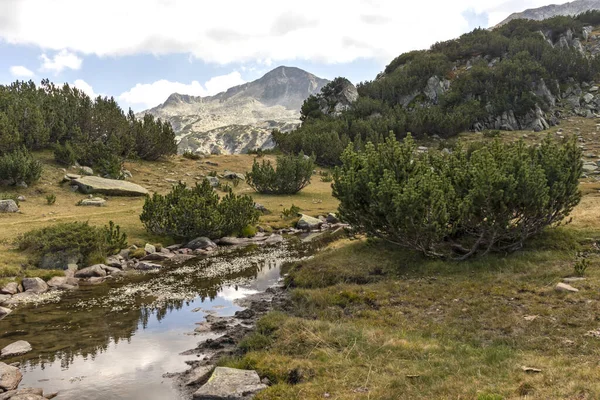 River and Banderishki Chukar Peak, Pirin Mountain, Bulgaria — Stock fotografie