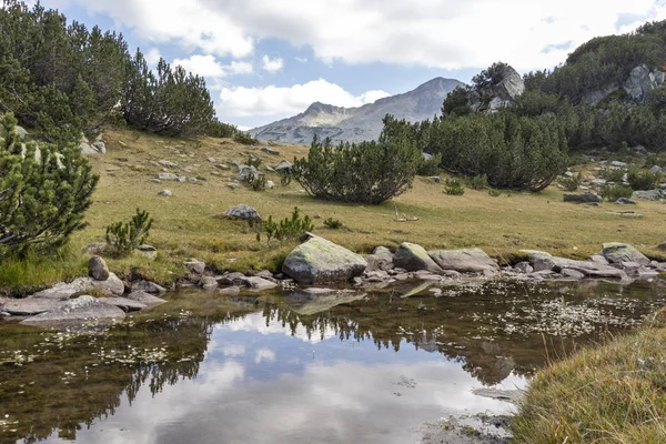 River and Banderishki Chukar Peak, Pirin Mountain, Bulgaria — Stock fotografie