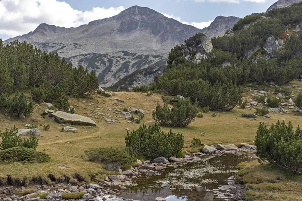 River and Banderishki Chukar Peak, Pirin Mountain, Bulgaria — 스톡 사진