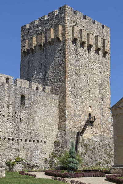 Despotovac Serbia Agosto 2019 Muro Medievale Edifici Nel Monastero Manasija — Foto Stock