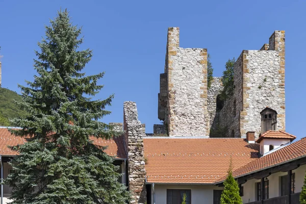 Despotovac Serbie Srpna 2019 Středověké Budovy Manasijském Klášteře Sumadija Západním — Stock fotografie