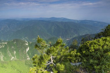 Bulgaristan 'ın Filibe Bölgesi, Rodop Dağları' ndaki Kızıl Duvar Zirvesi 'nden inanılmaz manzara