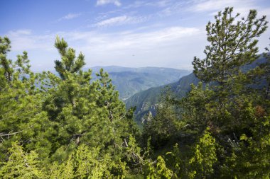Bulgaristan 'ın Filibe Bölgesi, Rodop Dağları' ndaki Kızıl Duvar Zirvesi 'nden inanılmaz manzara