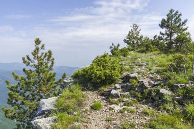 Bulgaristan 'ın Filibe Bölgesi, Rodop Dağları' ndaki Kızıl Duvar Zirvesi 'nden inanılmaz manzara