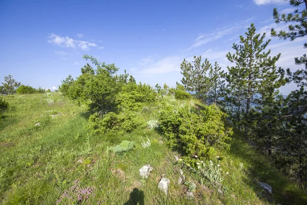 Amazing landscape from The Red Wall Peak at Rhodope Mountains, Plovdiv Region, Bulgaria