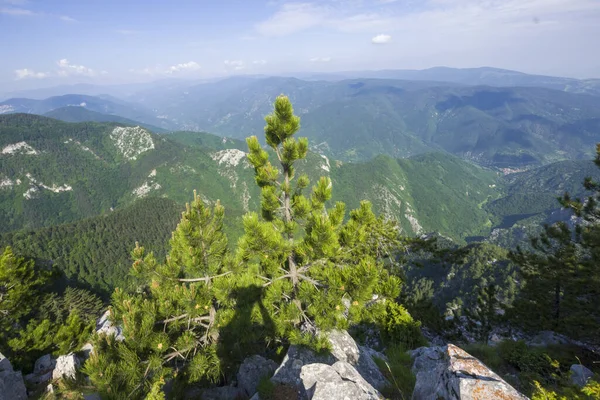 Amazing landscape from The Red Wall Peak at Rhodope Mountains, Plovdiv Region, Bulgaria