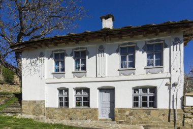 Bulgaristan 'ın Lovech bölgesinin tarihi Staro Stefanovo köyündeki tipik sokak ve eski evler