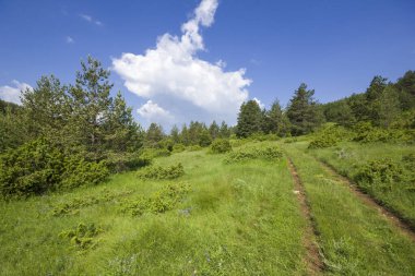Bulgaristan 'ın Filibe Bölgesi' nin Dobrostan köyü yakınlarındaki inanılmaz manzara Rodop Dağları