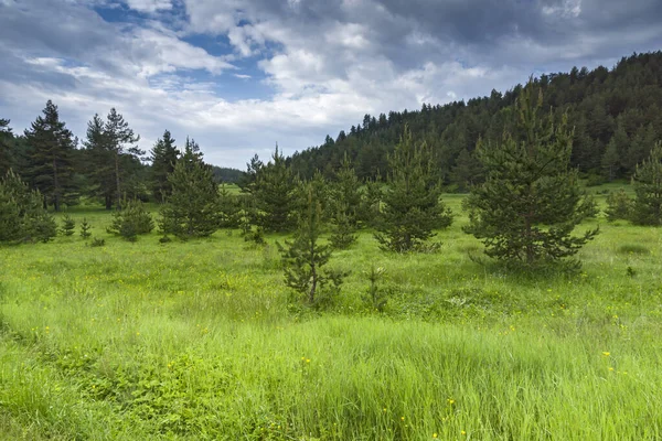 Fantastiskt Landskap Rhodope Berg Nära Byn Dobrostan Plovdiv Region Bulgarien — Stockfoto