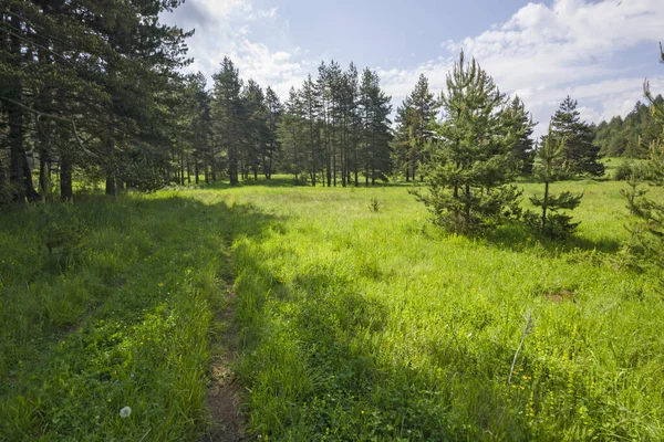 Fantastiskt Landskap Rhodope Berg Nära Byn Dobrostan Plovdiv Region Bulgarien — Stockfoto