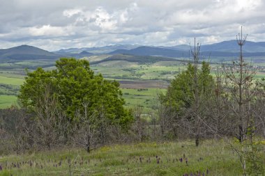 Cherna Gora (Monte Negro) dağının bahar manzarası, Pernik Bölgesi, Bulgaristan