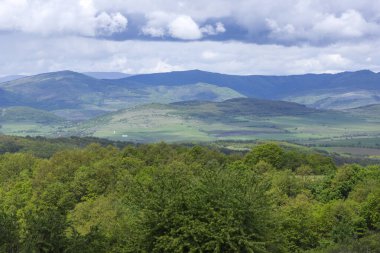 Spring Landscape of Cherna Gora (Monte Negro) mountain, Pernik Region, Bulgaria clipart