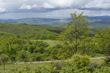 Cherna Gora (Monte Negro) dağının bahar manzarası, Pernik Bölgesi, Bulgaristan