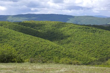 Cherna Gora (Monte Negro) dağının bahar manzarası, Pernik Bölgesi, Bulgaristan