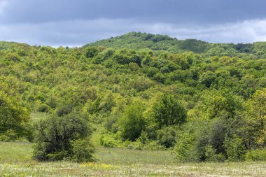 Cherna Gora (Monte Negro) dağının bahar manzarası, Pernik Bölgesi, Bulgaristan