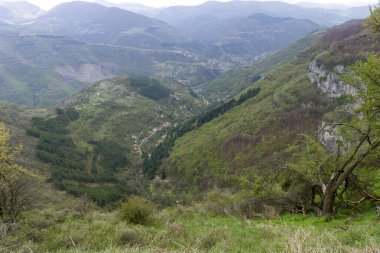 Bulgaristan 'ın Balkan Dağları' nın Zasele köyü yakınlarındaki bahar manzarası