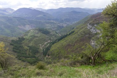 Bulgaristan 'ın Balkan Dağları' nın Zasele köyü yakınlarındaki bahar manzarası