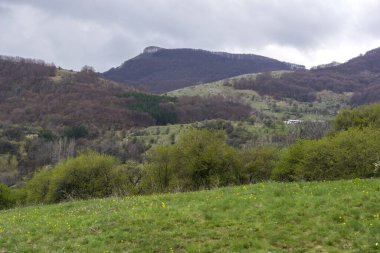 Bulgaristan 'ın Balkan Dağları' nın Zasele köyü yakınlarındaki bahar manzarası