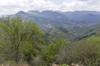 Bulgaristan 'ın Balkan Dağları' nın Zasele köyü yakınlarındaki bahar manzarası