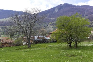 Bulgaristan 'ın Balkan Dağları' nın Zasele köyü yakınlarındaki bahar manzarası