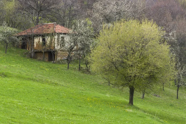 Wiosna Krajobraz Pobliżu Miejscowości Zasele Bałkany Bułgaria — Zdjęcie stockowe